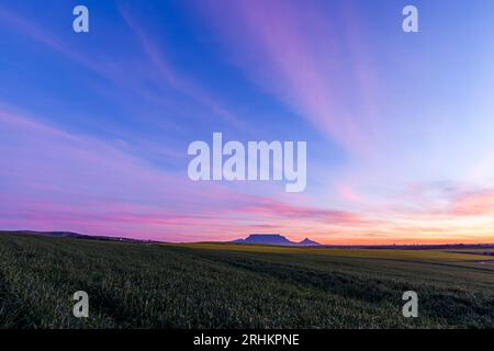 Tafelberg Landschaftsbild mit Rapsbäumen und Weizen im Vordergrund mit wunderschönen Wolken Reise Tourismus Landwirtschaft Kapstadt Stockfoto