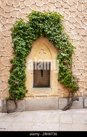 Steinnische mit Bogen in der Mauer des Alcazar von Segovia mit üppig grüner Efeupflanze, die umherkriecht und einen natürlichen Rahmen aus Blättern schafft. Stockfoto