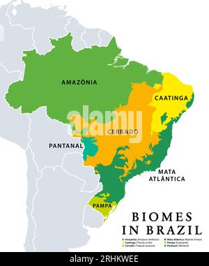 Biomes in Brasilien, Karte von Ökosystemen mit natürlicher Vegetation. Amazonas-Regenwald, Dornengewächse, tropische Savanne, Atlantischer Wald, Grünland und Feuchtgebiet. Stockfoto