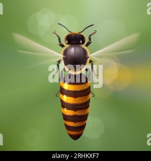 Realistische Bienenkönigin Mutter im Flug. Detaillierte Illustration einer Bienenkönigin auf grünem defokussiertem Hintergrund. Macro Insect, Konzept der Lebensmittelindustrie oder B Stock Vektor