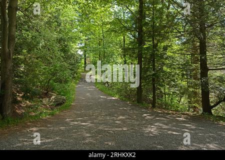 Das Minnewaska State Park Preserve liegt am Shawangunk Ridge im Ulster County, New York. Wanderweg im Wald Stockfoto