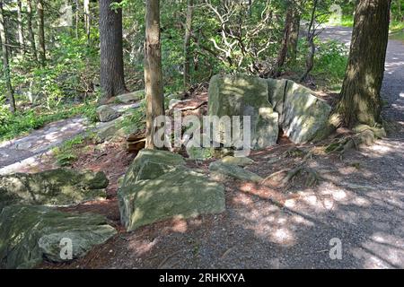 Das Minnewaska State Park Preserve liegt am Shawangunk Ridge im Ulster County, New York. Wanderweg mit riesigen alten Steinen im Wald Stockfoto