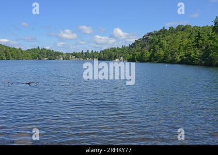 Das Minnewaska State Park Preserve liegt am Shawangunk Ridge im Ulster County, New York. Lake Minnewaska Stockfoto