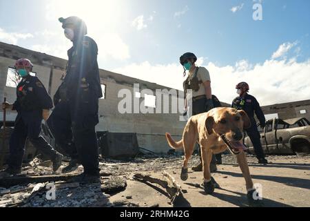 Lahaina, Vereinigte Staaten. Aug. 2023. Die FEMA Urban Search and Rescue Teams arbeiten am Mittwoch, den 16. August 2023, mit den örtlichen Feuerwehren und der Nationalgarde in Lahaina, Maui, zusammen. Die Zahl der Todesopfer durch die Maui-Waldbrände stieg auf 111 an, da die Besatzungen die von Wind betriebenen Brände der vergangenen Woche weiterhin bekämpfen und die Ermittler daran arbeiten, eine Ursache zu ermitteln. Foto von Dominick Del Vecchio/FEMA/UPI Credit: UPI/Alamy Live News Stockfoto