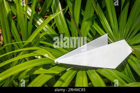 Papierebene auf Palmblättern. Reise Stockfoto