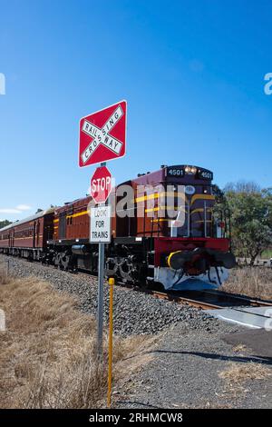 Diesellokomotive 4501 und Wagen, die über einen Bahnübergang in der Nähe von Tamworth NSW Australia fahren Stockfoto