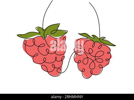 Himbeere durchgehende einzeilige Zeichnung, Obstvektor-Illustration. Stock Vektor