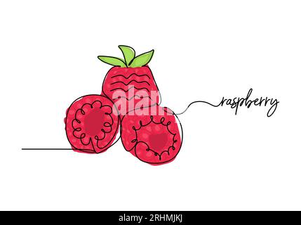 Himbeere durchgehende einzeilige Zeichnung, Obstvektor-Illustration. Stock Vektor