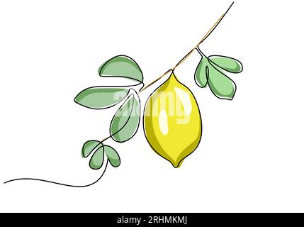 Orangefarbene durchgehende einzeilige Zeichnung, Obstvektor-Illustration. Stock Vektor