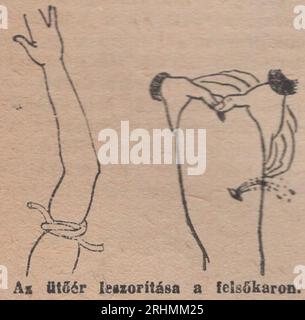 Vintage Illustrated Dictionary aus den 1940er Jahren Családi kis Lexikon Wörterbuch : Stockfoto