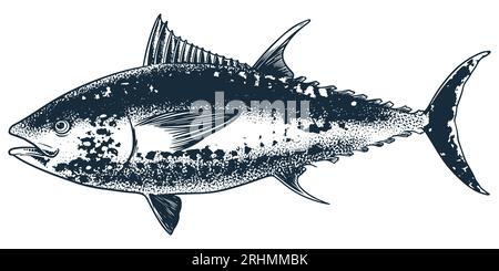Meeresfrüchte tierischer Thunfisch Fisch Gravurzeichnung Vektor. Handskizze im Vintage-Stil. Nahrung Tier Meer isoliert auf weißem Hintergrund. Stock Vektor