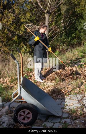 Gartenfrau, die zu Beginn des Winters die gefallenen Herbstblätter mit einem Rechen aufnimmt, in der Provence, einer Region Südfrankreichs Stockfoto