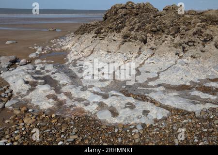 Ziemlich ungewöhnlicher Fels aus Schlamm und Steinen, der sehr ähnlich wie Beton aussieht, der von Jahrtausenden von abrasiven Materialien geglättet wurde, die von den Gezeiten bewegt wurden. Stockfoto