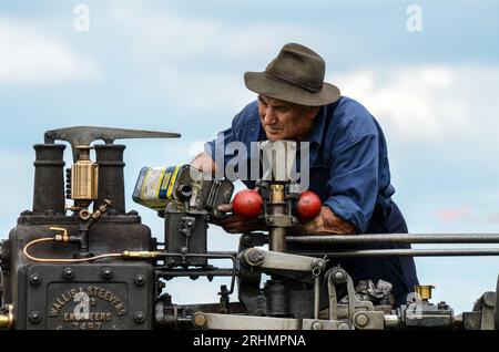 Älterer kaukasischer Mann, der Öl in den Mechanismus einer Wallis & Steevens Dampfzugmaschine eingießt. Alter Ingenieur, der die Dampfmaschine instand hält Stockfoto