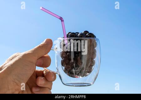 Die Hand eines Mannes hält einen Glasbecher mit einer Cocktailröhre gefüllt mit frischen und saftigen schwarzen Johannisbeeren. Süße reife schwarze Johannisbeere vor dem blauen Himmel. Stockfoto