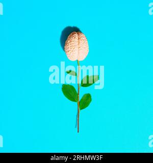Rosenförmige Blume aus einem frischen Stamm und einem menschlichen Hirnmodell isoliert auf blauem Hintergrund. Kreatives, durchdachtes Blütenkonzept. Stockfoto