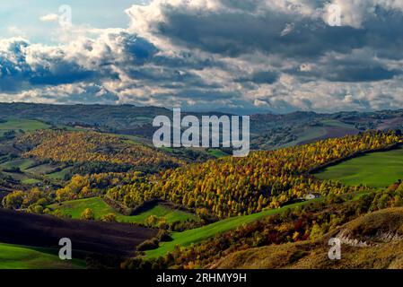 Autunno sulle colline del Montefeltro presso Urbino Stockfoto