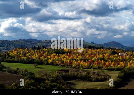 Autunno sulle colline del Montefeltro presso Urbino Stockfoto