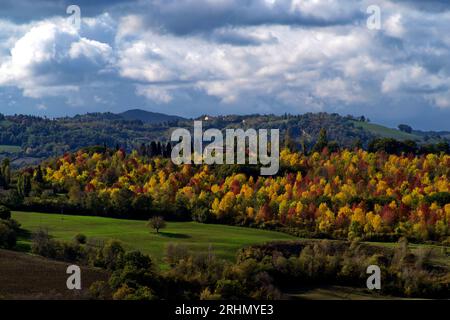 Autunno sulle colline del Montefeltro presso Urbino Stockfoto