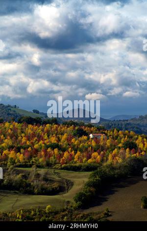 Autunno sulle colline del Montefeltro presso Urbino Stockfoto