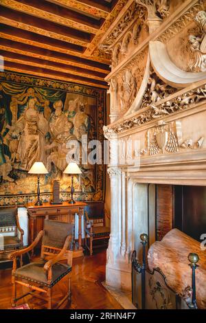 Der Kamin im Speisesaal des Chateau de Chaumont-sur-Loire, Loire-Tal, Frankreich Stockfoto