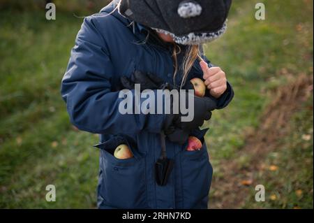 Junge, der Winterkleidung trägt und Äpfel in der Tasche sammelt Stockfoto