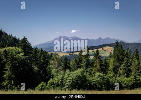 Landschaft mit Tatra-Bergen von Husciawa in Pieniny, Polen. Grüner Wald im Vordergrund. Stockfoto