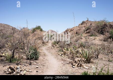 Wandern Sie durch die karge Wüstenlandschaft Stockfoto