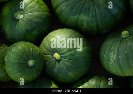 Detailaufnahme runder grüner Kürbis Stockfoto