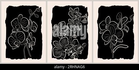 Botanisches Wandkunstset. Orchideenzeichnung. Stock Vektor