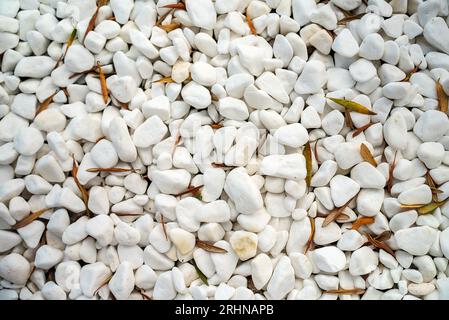 Schneeweiße Steine an der Küste. Geeignet für Hintergrund. Stockfoto