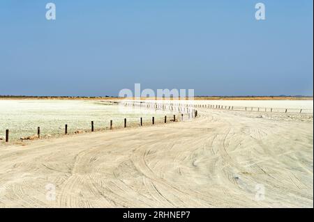 Namibia. Etosha-Nationalpark. Die riesige Etosha-Pfanne Stockfoto