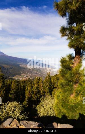 Blick auf die nördlichen Hänge vom Mirador de Ayosa, Teneriffa, Kanarische Inseln, Spanien Stockfoto