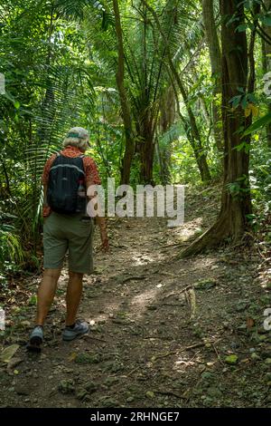 Ein Tourist spaziert entlang des Weges durch die Maya-Ruinen im archäologischen Reservat Cahal Pech, Belize. Stockfoto