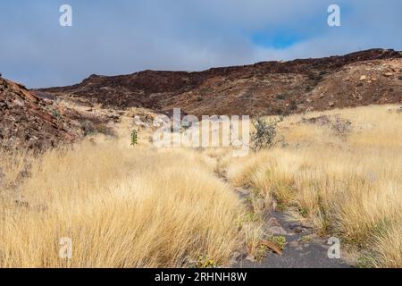 Schwarze Bergkulisse in Namibia Stockfoto