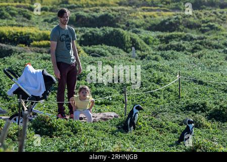 (230818) -- BETTY's BAY, 18. August 2023 (Xinhua) -- Touristen sehen afrikanische Pinguine im Stony Point Nature Reserve in Betty's Bay, Western Cape Province, Südafrika, 30. März 2019. Südafrika, das diesen Monat den 15. BRICS-Gipfel abhalten wird, ist das südlichste Land Afrikas. Es ist das einzige Land der Welt mit drei Hauptstädten, mit Pretoria als Verwaltungshauptstadt, Kapstadt als Legislativhauptstadt und Bloemfontein als Justizhauptstadt. Weitere große Städte sind Johannesburg und Durban. Südafrika hat ein angenehmes Klima und berühmte Touristenziele wie Cape of G Stockfoto