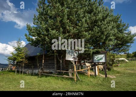 Jaworki, Polen - 19. Juli 2023: Hölzerne Hirtenhütte 'Bacowka u Wojtka', traditionelles Schafmilch- und Käsegeschäft in den Bergen Pieniny. Stockfoto