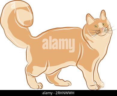 Ein Vektor oder eine Illustration einer orangen Katze, die eine stehende Haltung zeigt. Stock Vektor