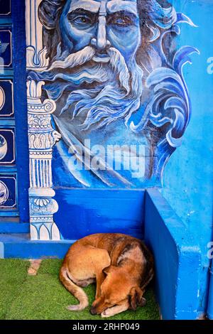 Indien, Rajasthan, Jodhpur, die blaue Stadt Stockfoto