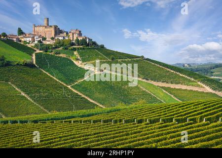 Langhe Weinberge Landschaft und Castiglione Falletto Dorf auf dem Hügel, UNESCO-Weltkulturerbe, Piemont Region, Italien, Europa. Stockfoto