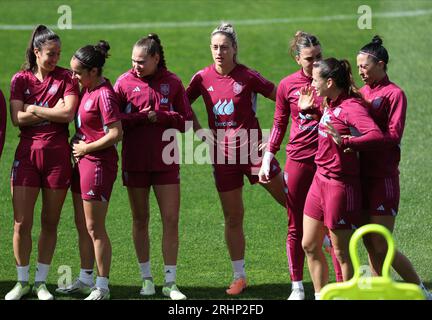 Sydney. August 2023. Spanienteam während einer Trainingseinheit im Leichhardt Oval Stadium, Sydney, Australien. Quelle: Isabel Infantes/Alamy Live News Stockfoto