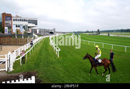 Miaharris (rechts) wurde von Jockey Oisin Murphy geritten, nachdem er den Highclere Thoroughbred Racing St Hugh's Stakes auf der Newbury Racecourse gewonnen hatte. Bilddatum: Freitag, 18. August 2023. Stockfoto