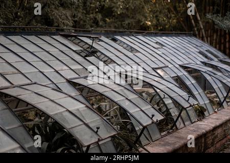 Vintage-Glasgewächshaus voller Pflanzen in einem botanischen Garten. Einige Fenster sind geöffnet. Die Abdeckung ist gewölbt. Stockfoto