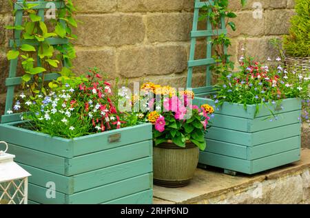 Im Sommer gibt es in einem Terrassengarten hölzerne Pflanzgefäße mit Topfpflanzen wie Lobelien, Ringelblumen und Petunien. Stockfoto