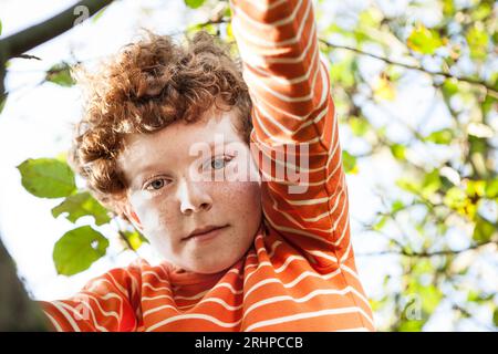 Junge im Baum Stockfoto