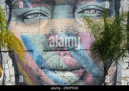 Rio de Janeiro, Brasilien: Die Skyline der Stadt mit Blick auf die Mural das Etnias, genannt We Are All One, die von dem brasilianischen Künstler Eduardo Kobra für die Olympischen Spiele 2016 in Rio geschaffen wurde Stockfoto