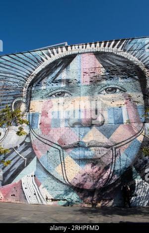 Rio de Janeiro, Brasilien: Die Skyline der Stadt mit Blick auf die Mural das Etnias, genannt We Are All One, die von dem brasilianischen Künstler Eduardo Kobra für die Olympischen Spiele 2016 in Rio geschaffen wurde Stockfoto
