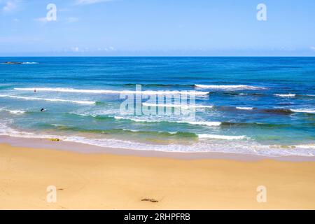 Beliebter Surferstrand, Praia do Amado, Atlantik, Carrapateira, Costa Vicentina, Algarve, Bezirk Faro, Portugal, Parque Natural do Sudoeste Alentejano und Costa Vicentina Stockfoto