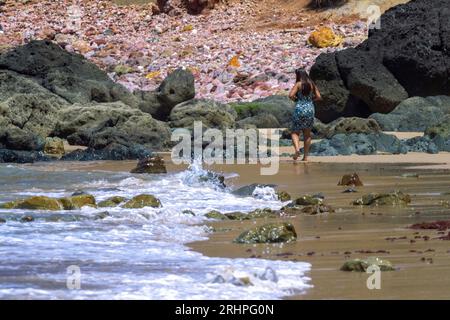 Touristen am Strand, Praia do Amado, Atlantik, Carrapateira, Costa Vicentina, Algarve, Bezirk Faro, Portugal, Parque Natural do Sudoeste Alentejano und Costa Vicentina Stockfoto