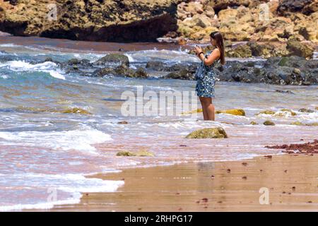 Touristen am Strand, Praia do Amado, Atlantik, Carrapateira, Costa Vicentina, Algarve, Bezirk Faro, Portugal, Parque Natural do Sudoeste Alentejano und Costa Vicentina Stockfoto